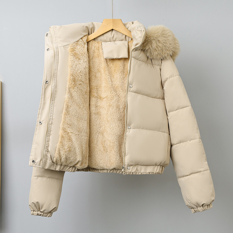 Winter Kurze Parkas frauen Bau – Wool Coat Peacoat Bewertung und Preis